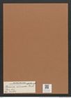 Peronia erinacea Breb. et Arndt (de-Toni-Nr.: Genus 65, Species 2580) Zeichnungen Sammlung Grunow Mappe 02759 (Herbarium_W_Grunow_drawings_Folder_02759)